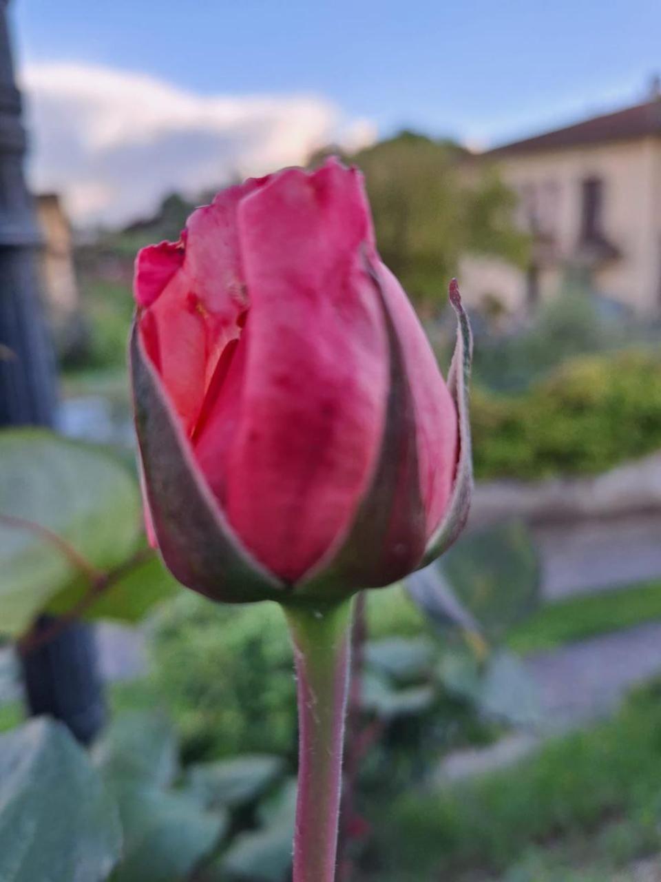 B&B Le Rose Di Paola Santa Maria a Monte Exterior foto